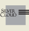 Silver Cloud Valet